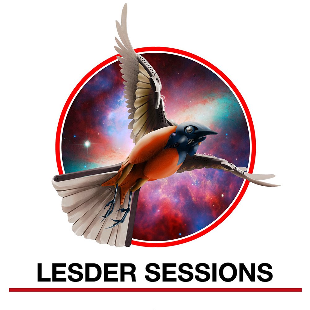 lesder sessionsok 1